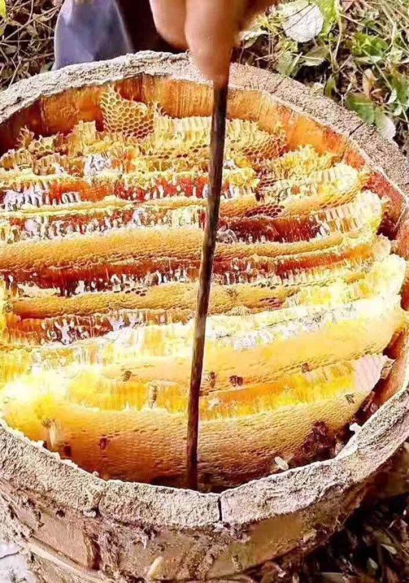 土蜂蜜