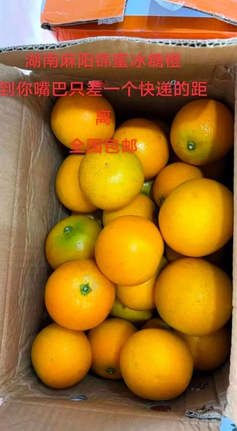 湖南麻阳冰糖橙