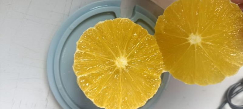 湖南麻阳冰糖橙