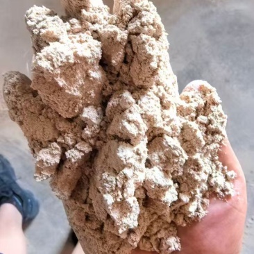 玉米油渣粉