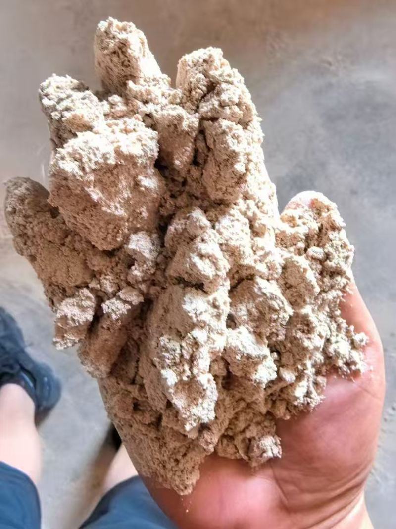 玉米油渣粉