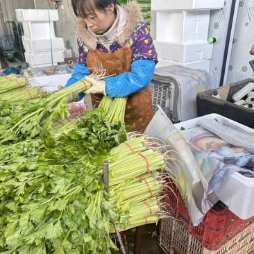 香芹