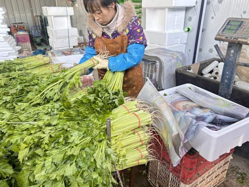 香芹