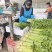 香芹
