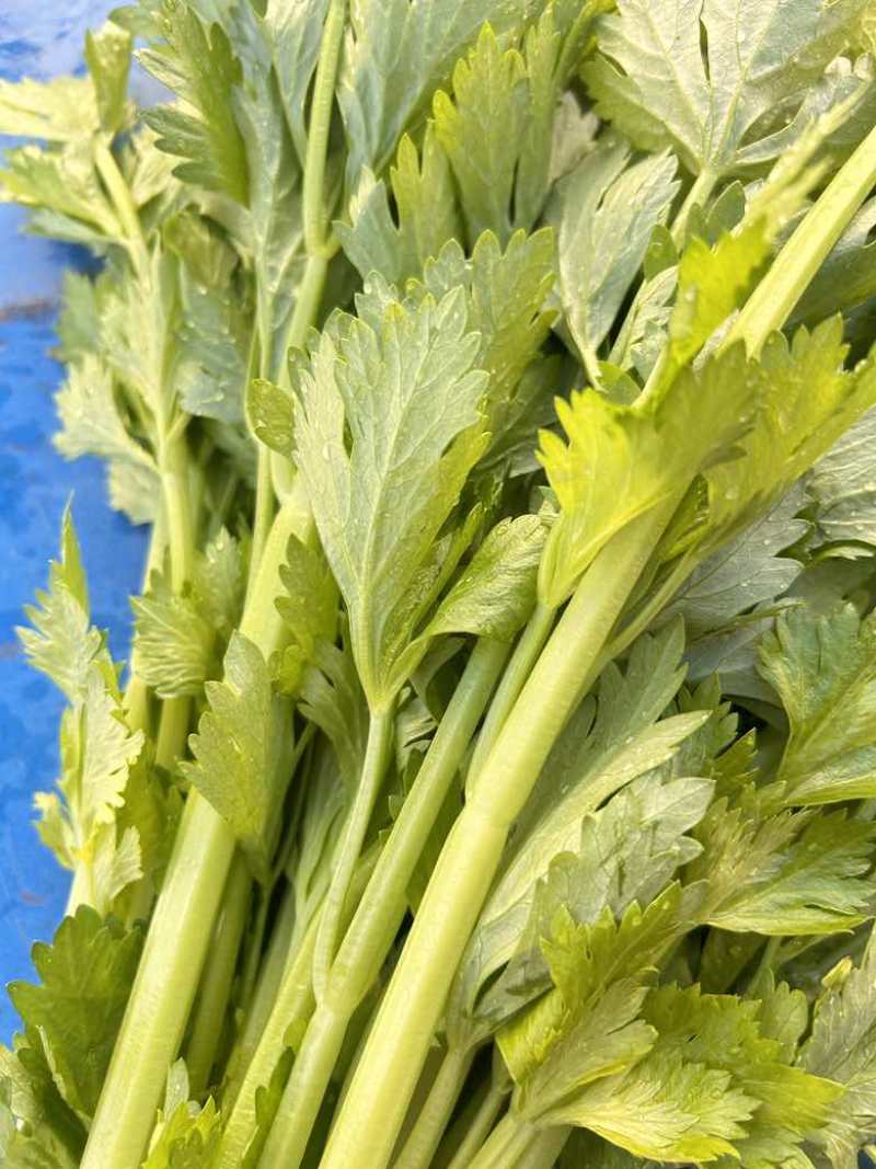 香芹