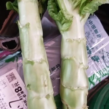 精品竹筒青***********