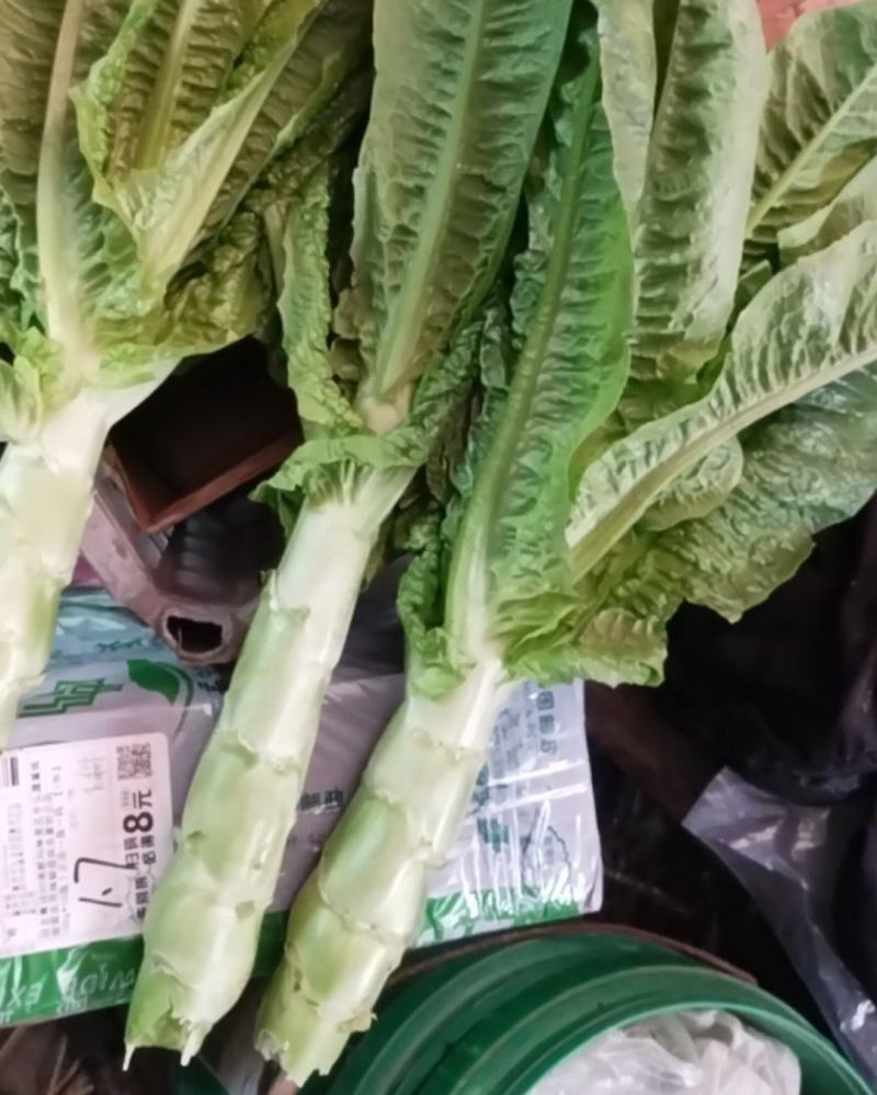 精品竹筒青***********