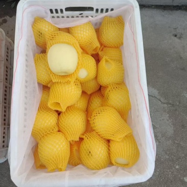 瑞雪苹果红富士条纹苹果大量有货对接合作全国电商