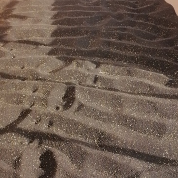 青海油菜籽