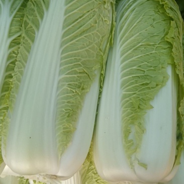 3456