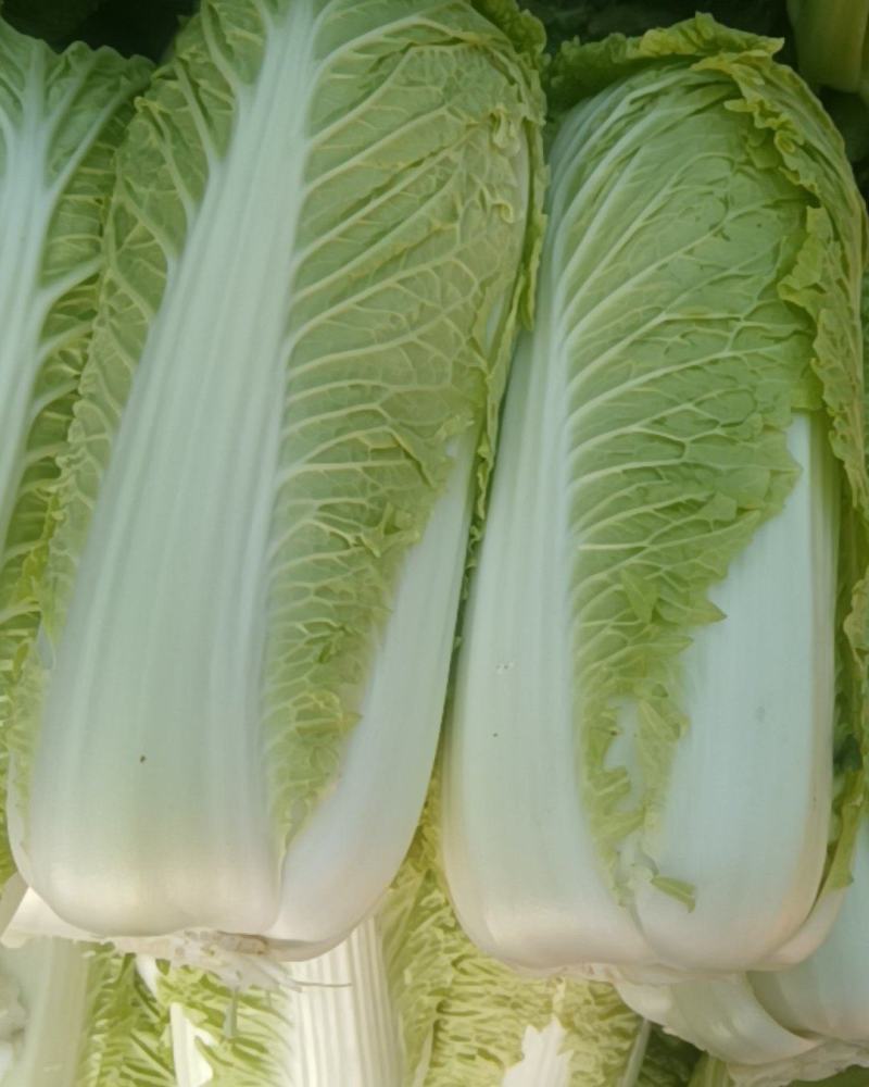 3456