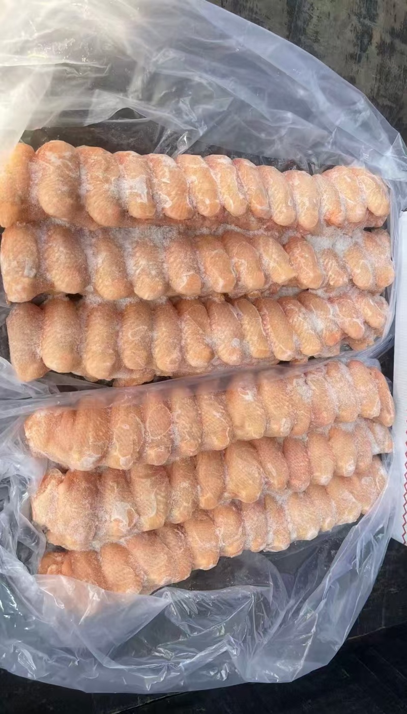 精品排翅，二级排翅都有货