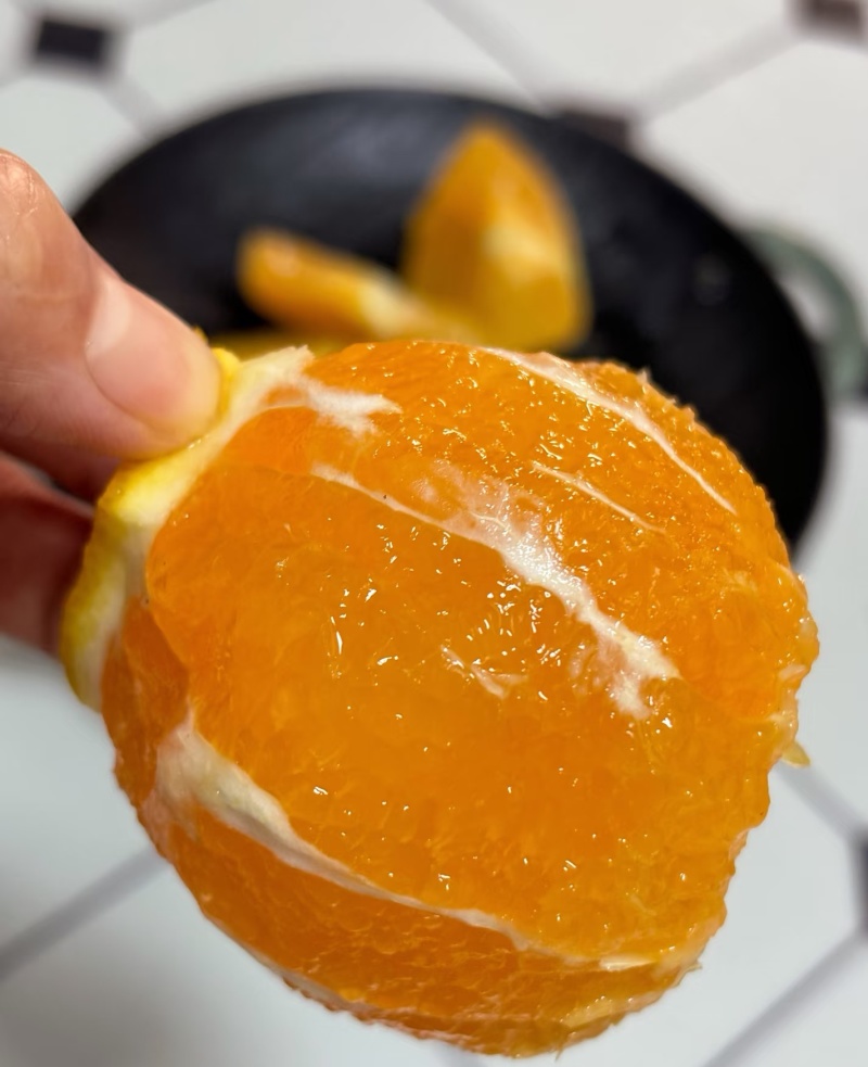 秭归九月红果冻橙