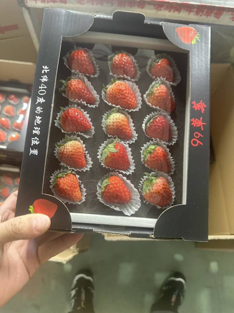 丹东九九草莓，