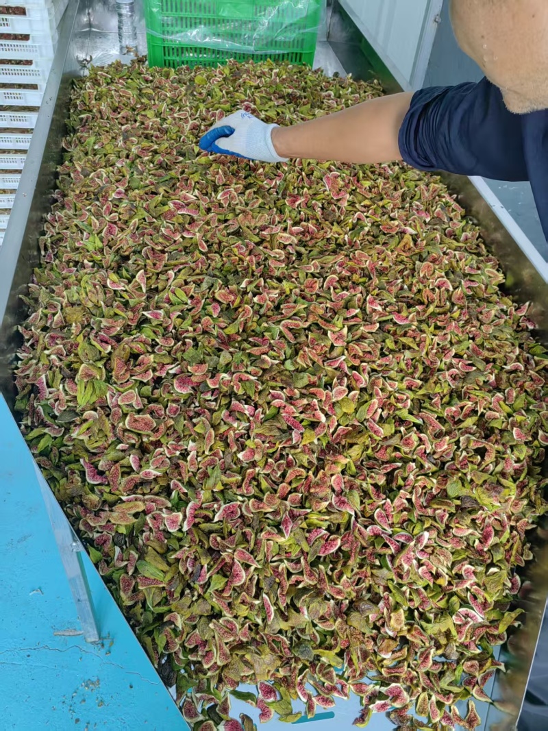 青皮无花果果条果脯