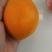 江西赣南蜂蜜橙子纯甜一点酸味都没有，水分足