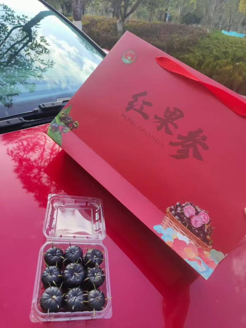 马关红果参