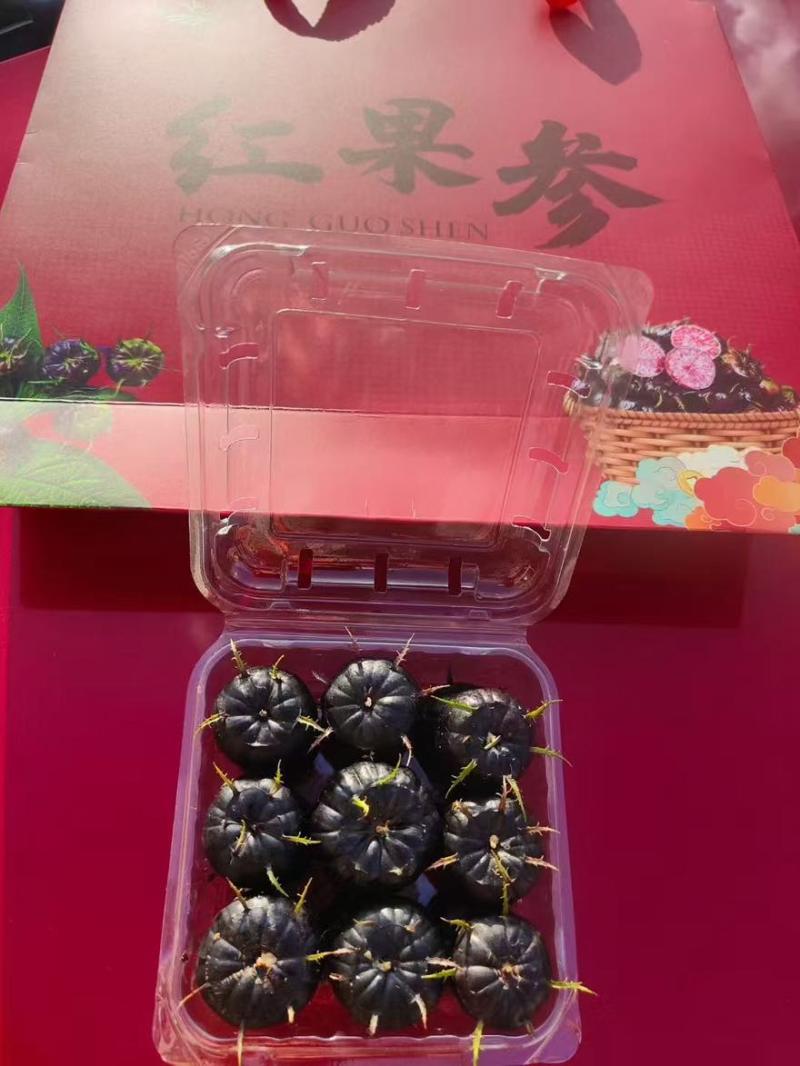 马关红果参