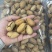 碧根果新果，现货充足，供应链管理，可电商，可批发