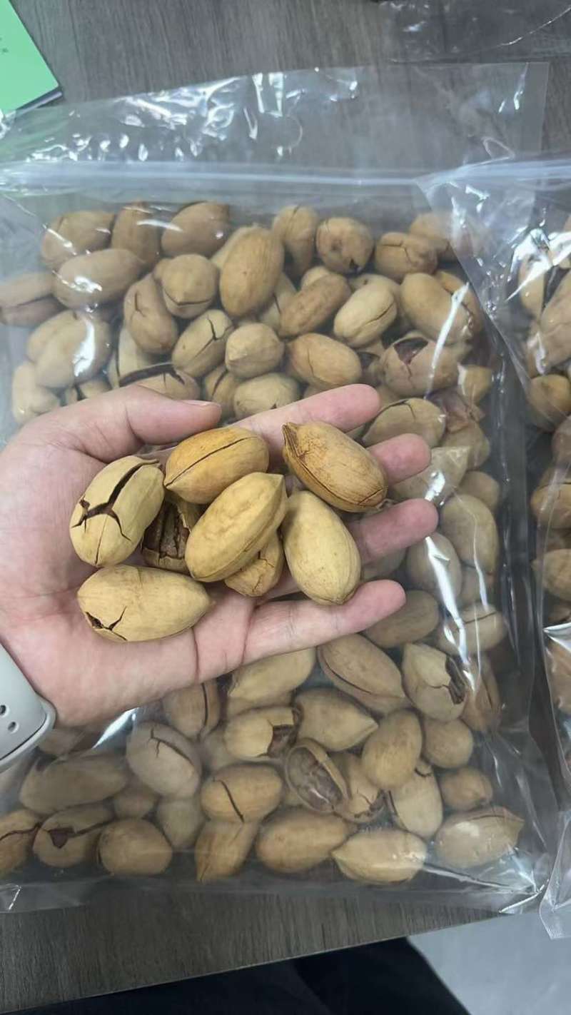 碧根果新果，现货充足，供应链管理，可电商，可批发