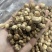 进口印尼白蔻50斤一件特惠规格特白蔻批发白豆蔻量大价优