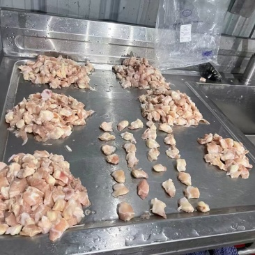 掌中宝，膝软骨