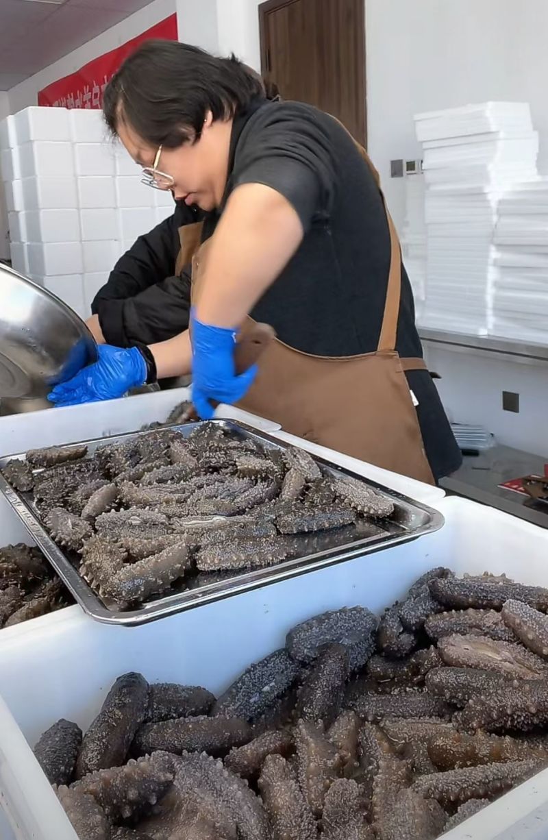 威海第一波野大海参，活动300斤，自己吃营养价值高