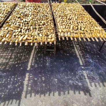 红薯干大量有货！
