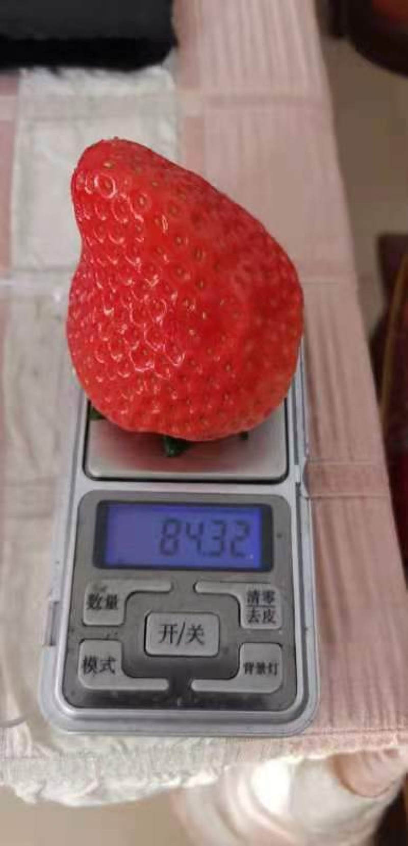 丹东红颜草莓，自有园区，产地直发。