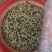 褐色豆子生菜芽豆子