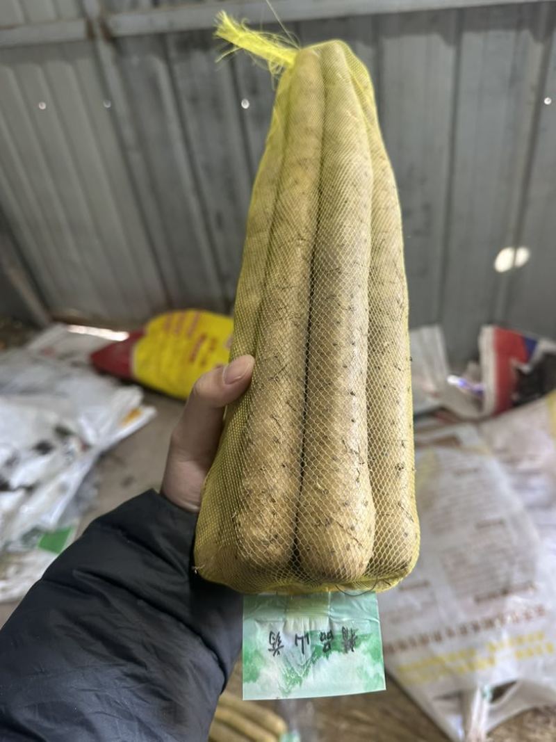 精品山药网袋装，全国接单