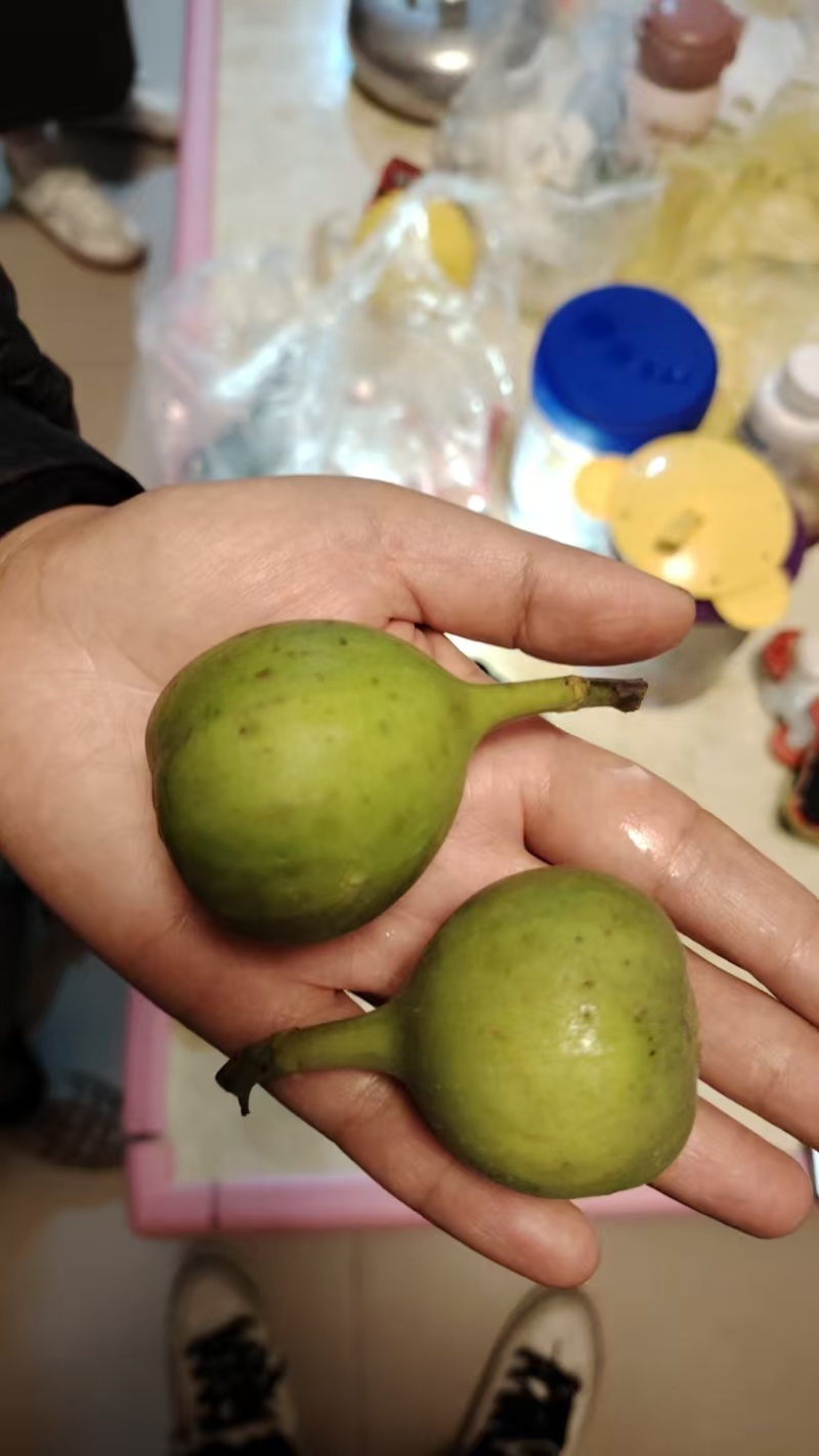 真甜，无花果