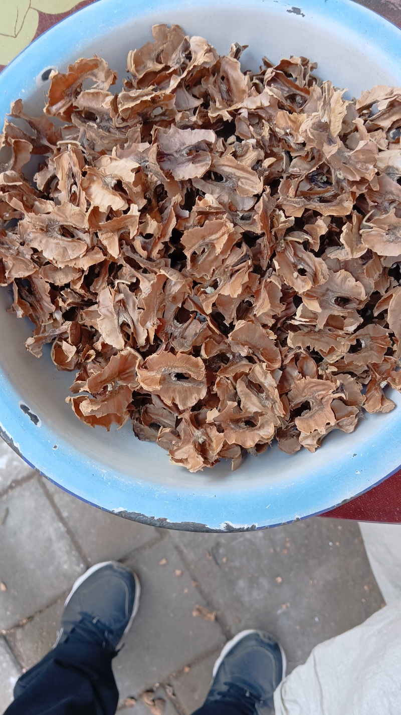 核桃分心木可以泡茶喝
