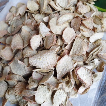 天花粉