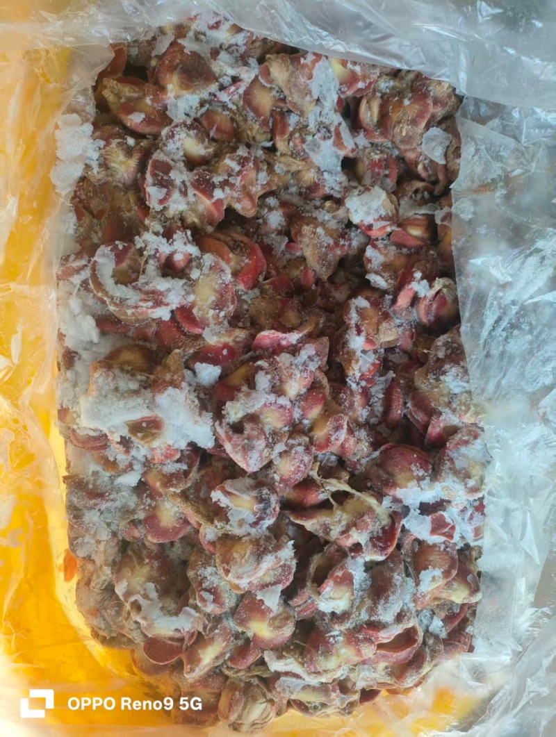 老母鸡去肚鸡胗