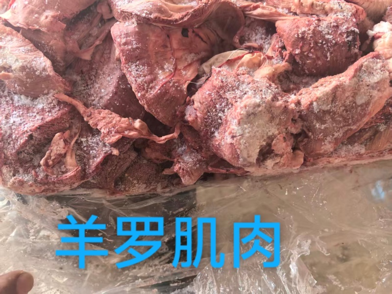 羊罗肌肉