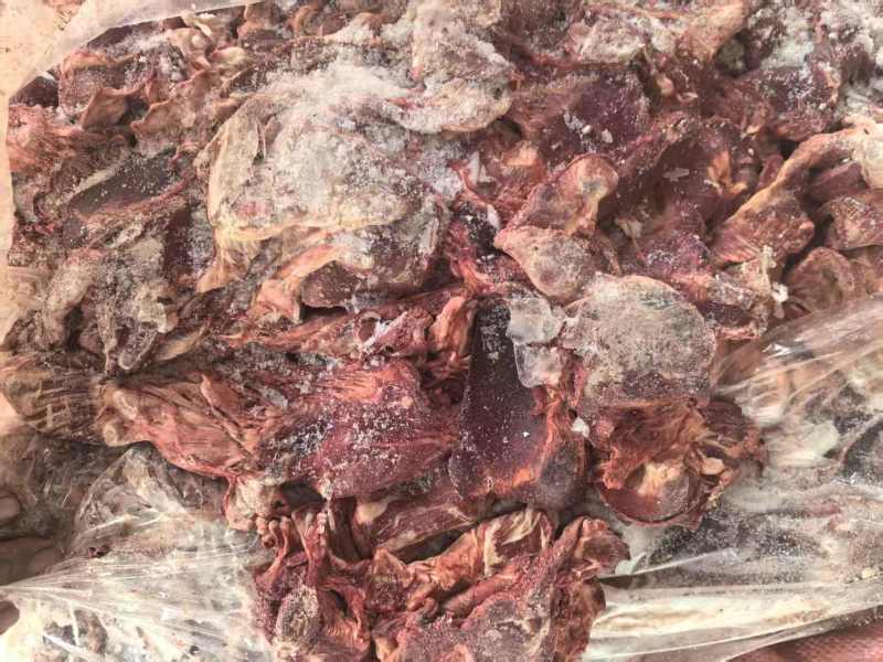 羊罗肌肉