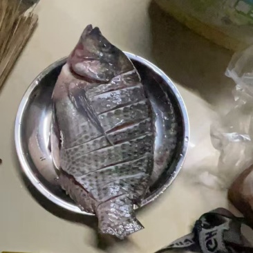 罗非鱼
