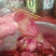 腊香肠