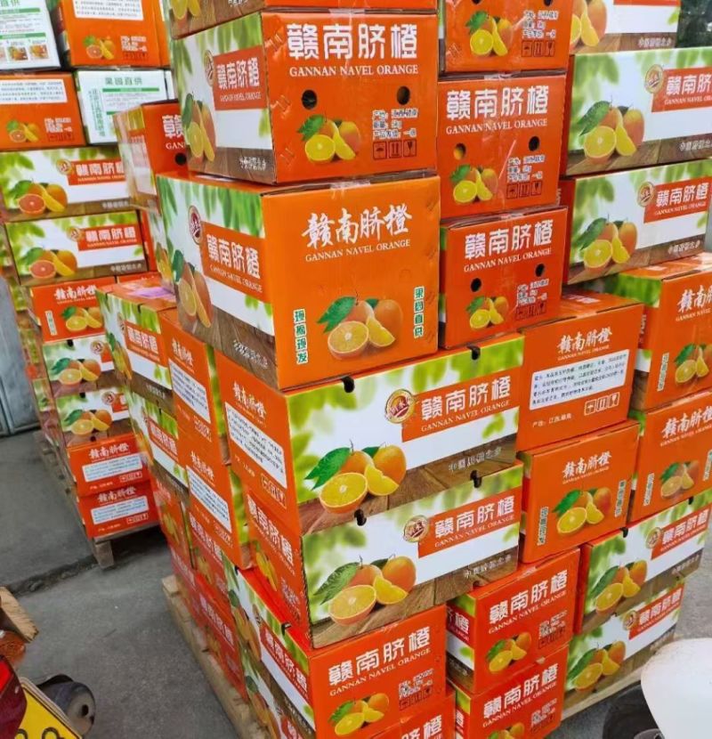 江西赣南脐橙