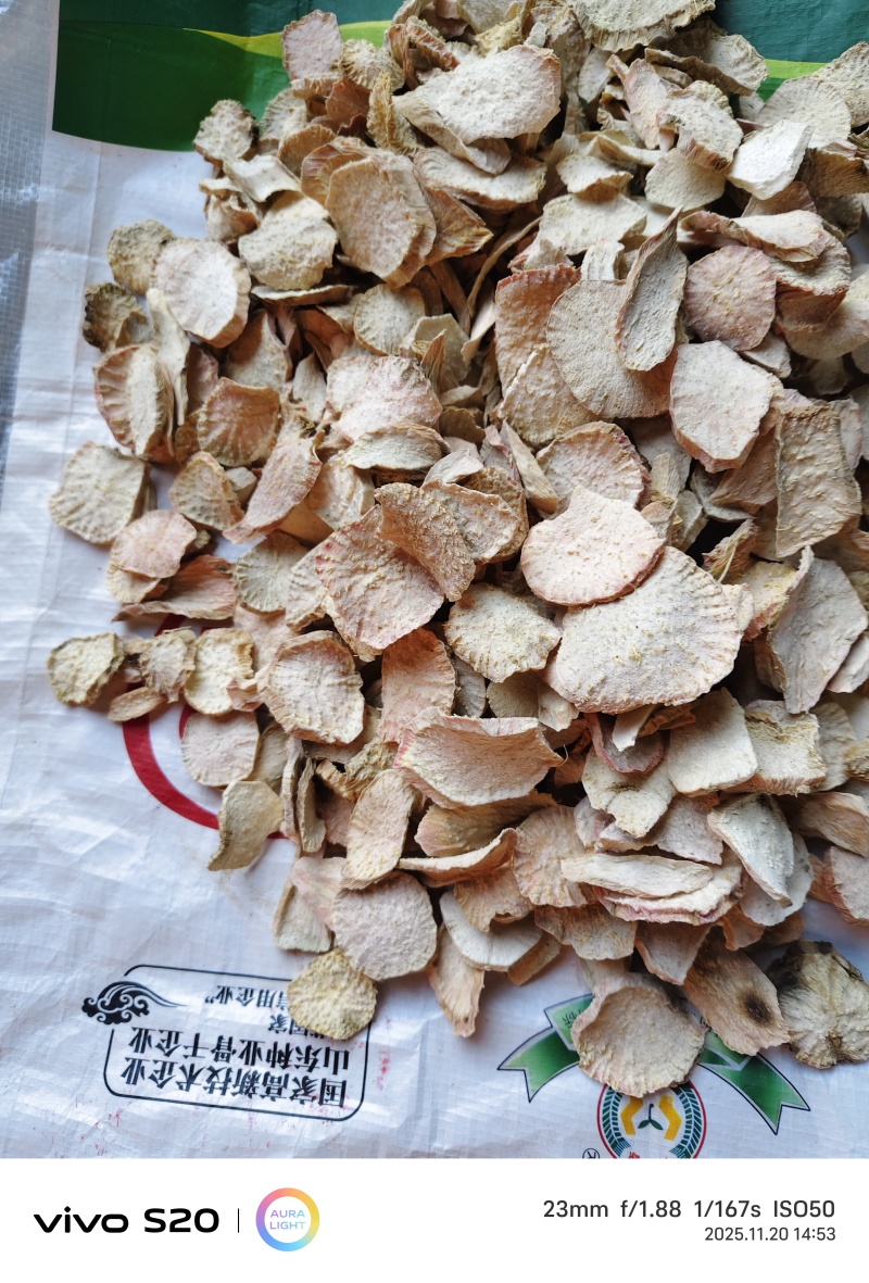 天花粉