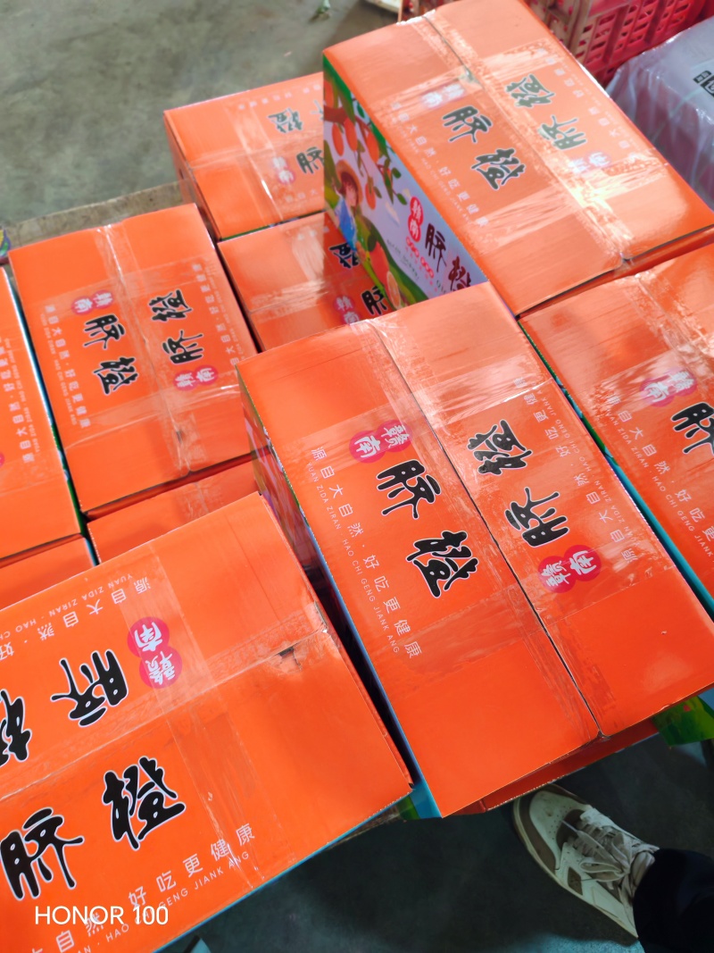 正宗赣南脐橙