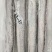 野生带鱼，9到10斤一盒，38处理