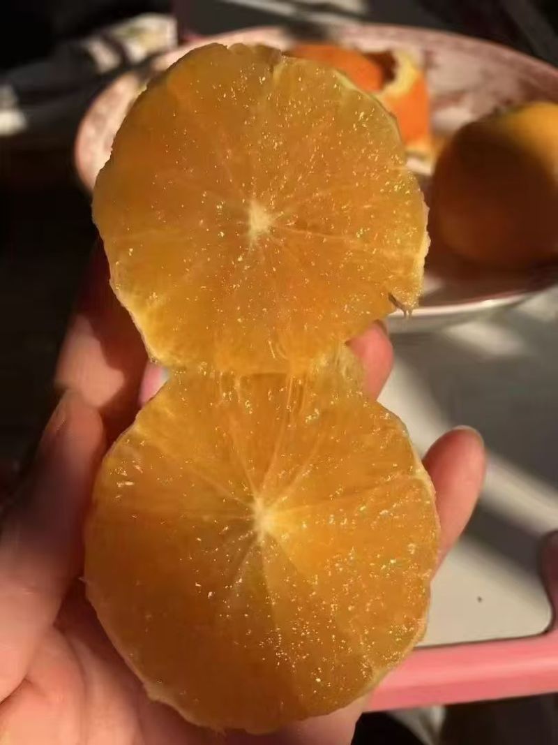 冰糖橙
