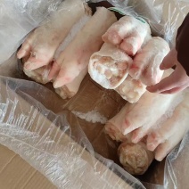 一级纯干母猪猪蹄12个左右山东发货价格便宜