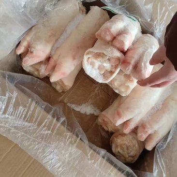 一级纯干母猪猪蹄12个左右山东发货价格便宜