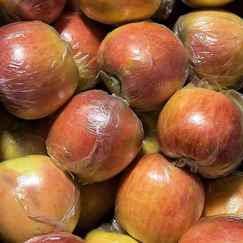 红富士苹果颜色好水分足