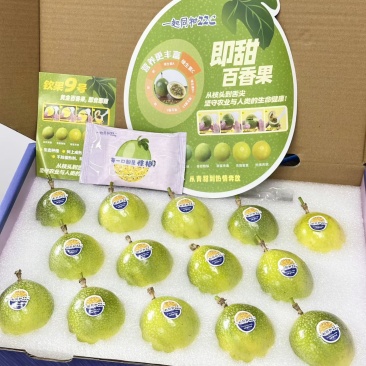 广西钦蜜9号百香果私人定制礼盒款一件代发京东包邮
