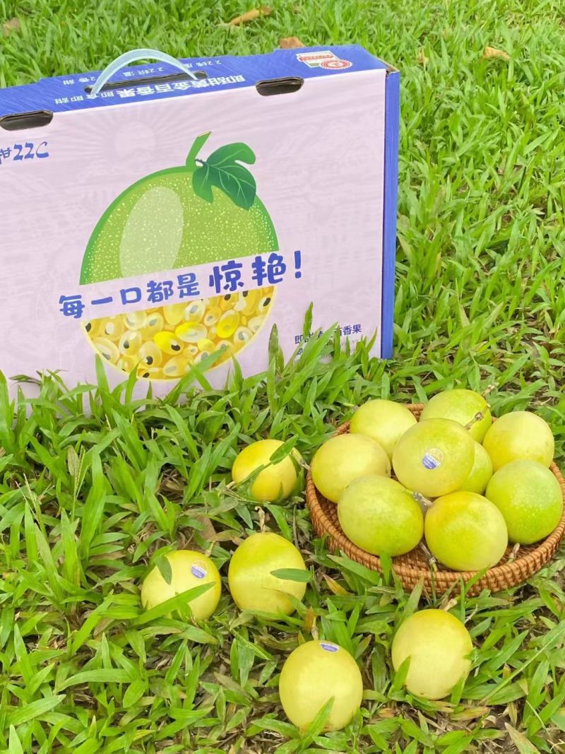 广西钦蜜9号百香果私人定制礼盒款一件代发京东包邮