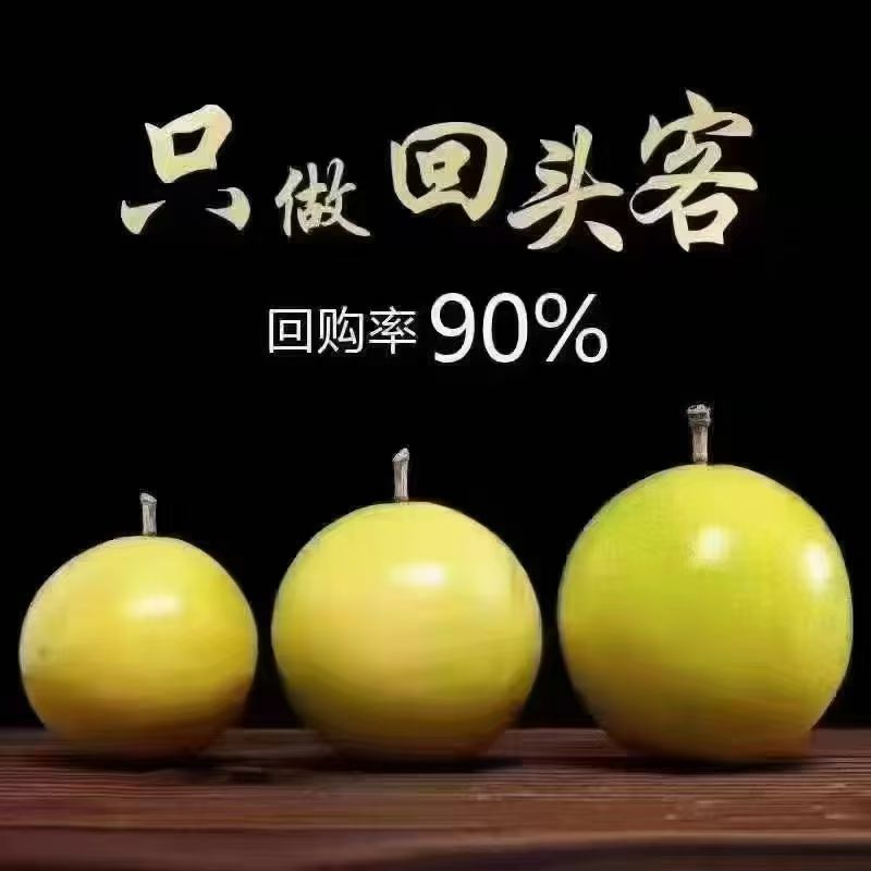 广西钦蜜9号百香果私人定制礼盒款一件代发京东包邮